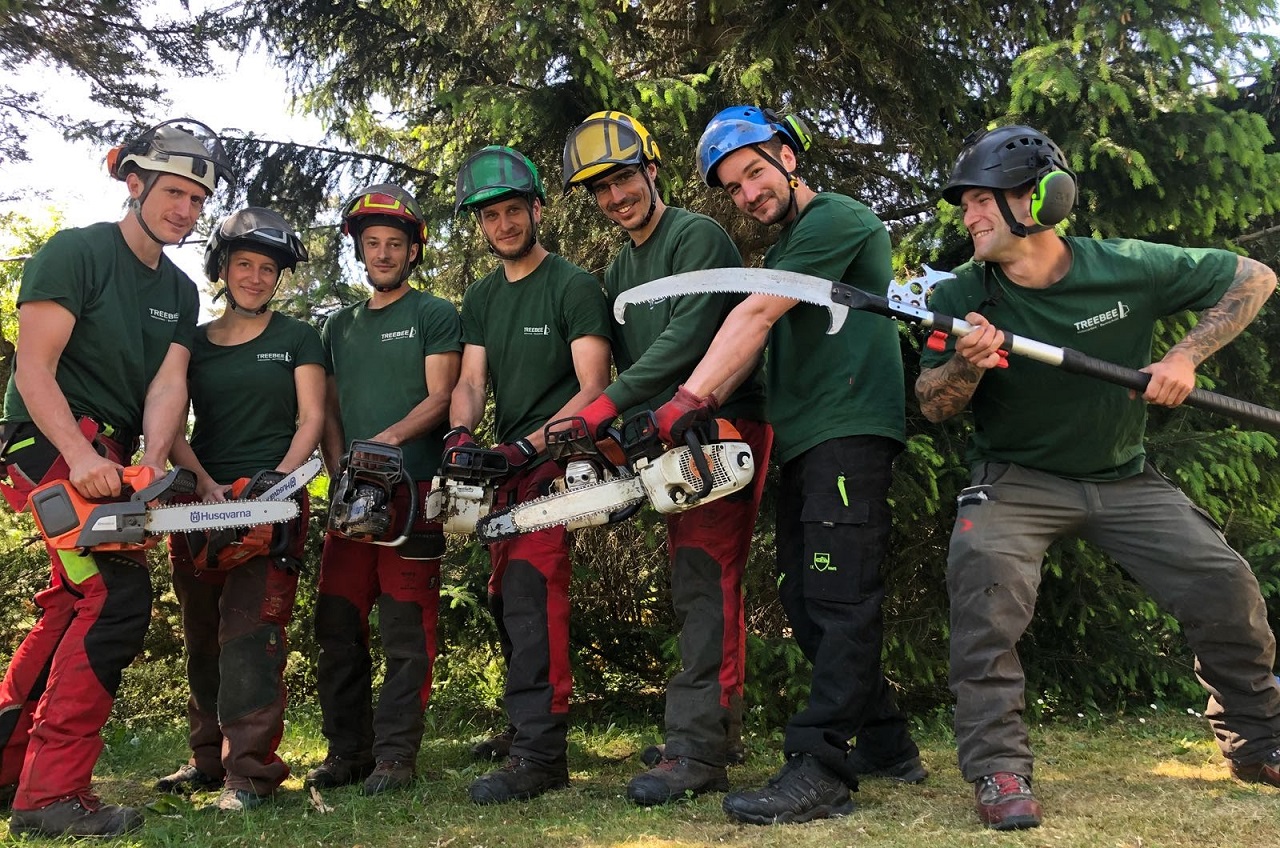 Zertifizierung TreeBee